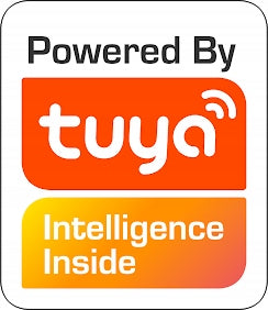 Gas and Chad Sensor 2in1 Carbon Monoxide Detector CO TUYA WIFI CERTIFIED Packaging status original