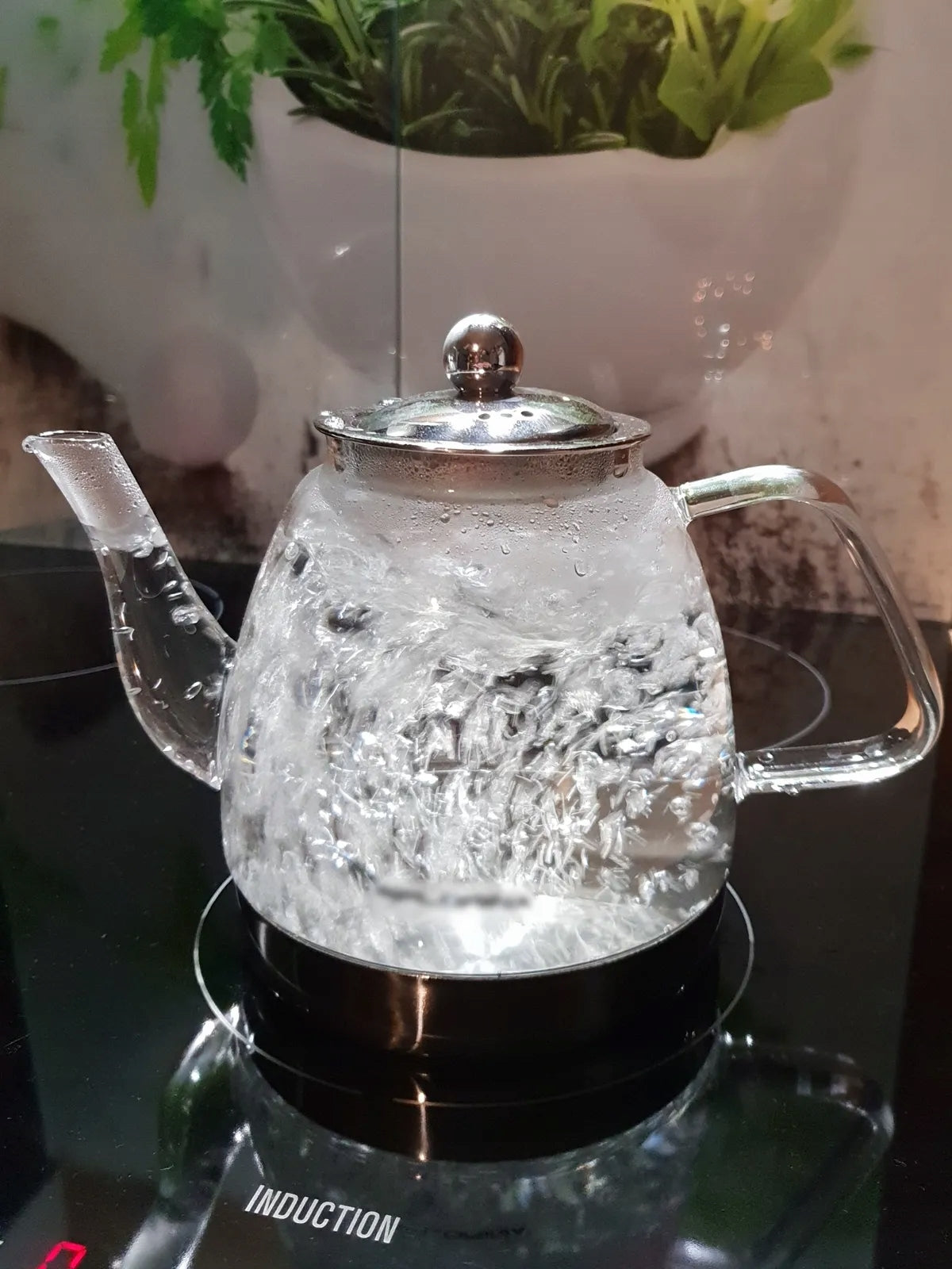 Glass Tea Pot For Induction 1,2L Infuser Steel Filter Brand MPLCo