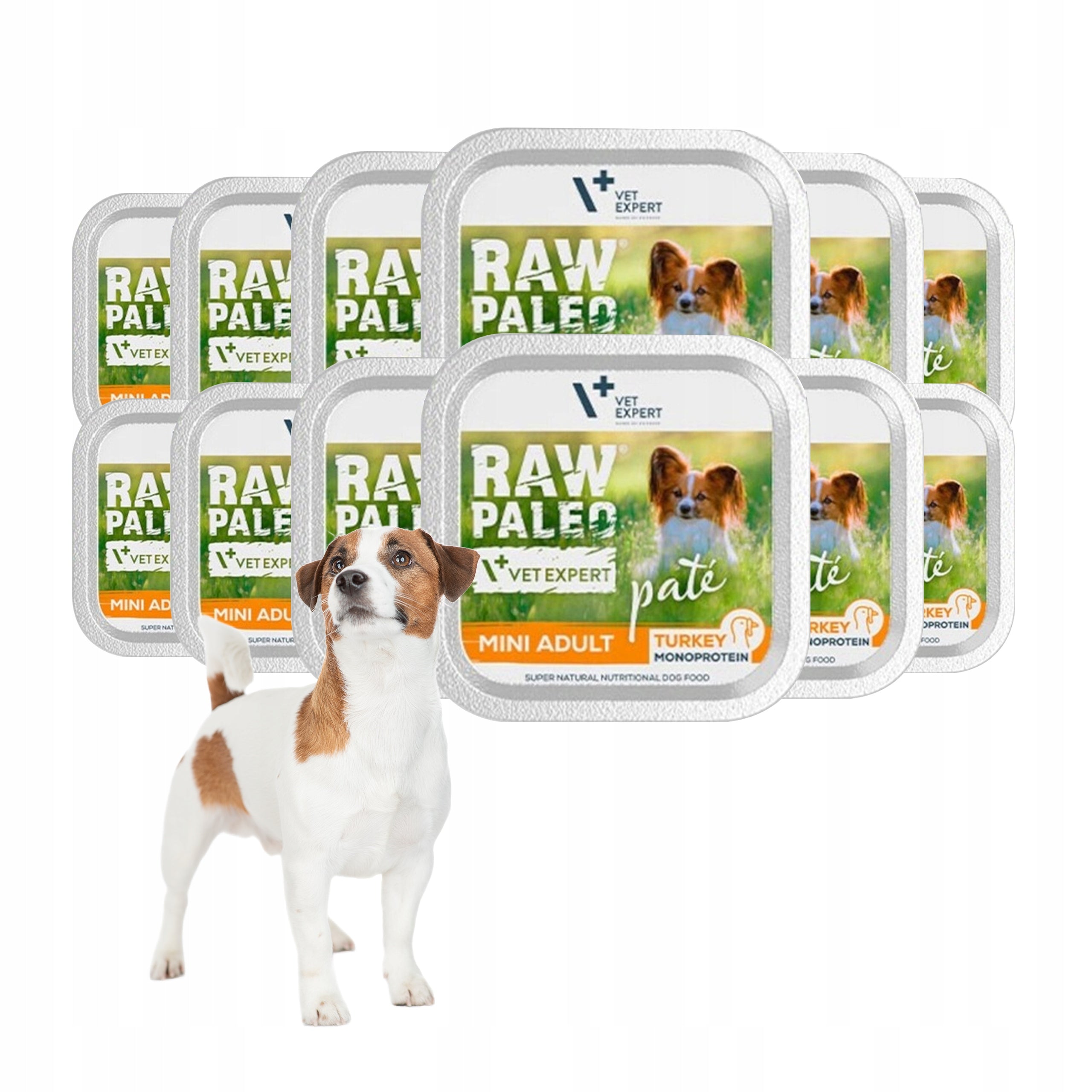 Grain Free Wet Dog Food RAW PALEO PATE MINI ADULT TURKEY 12x150g