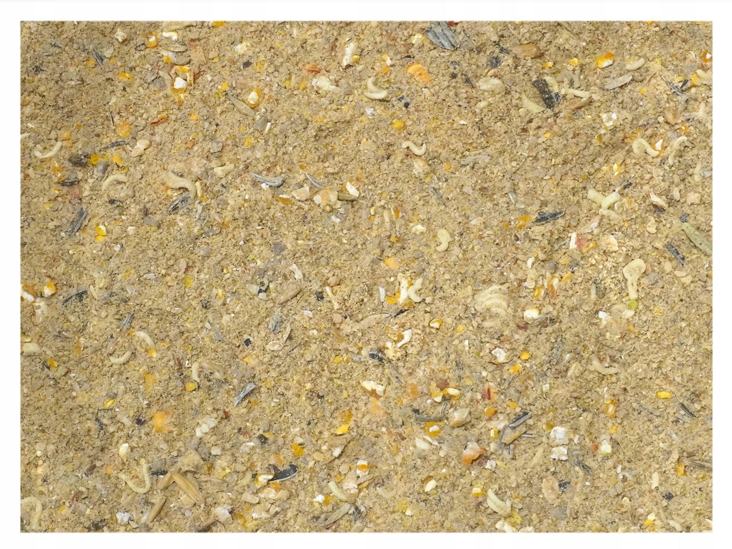 Grain bottom fishing bait basic base carp bream 4,5kg nr.2