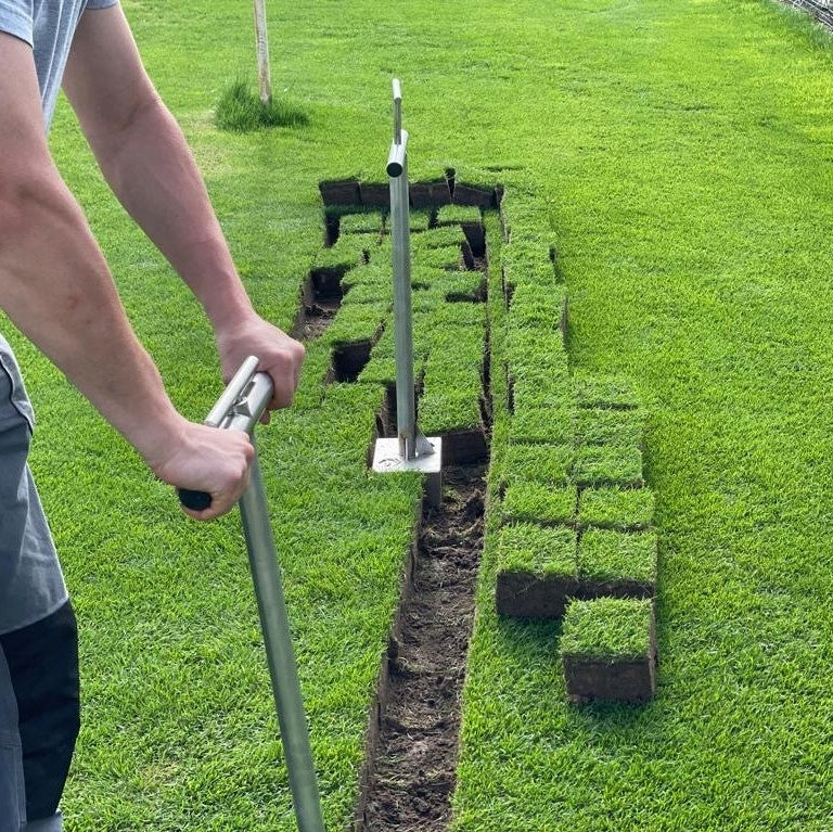 Grass hole saw plantain for lawns grass Packaging status original