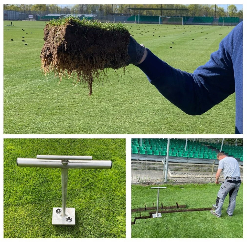Grass hole saw plantain for lawns grass