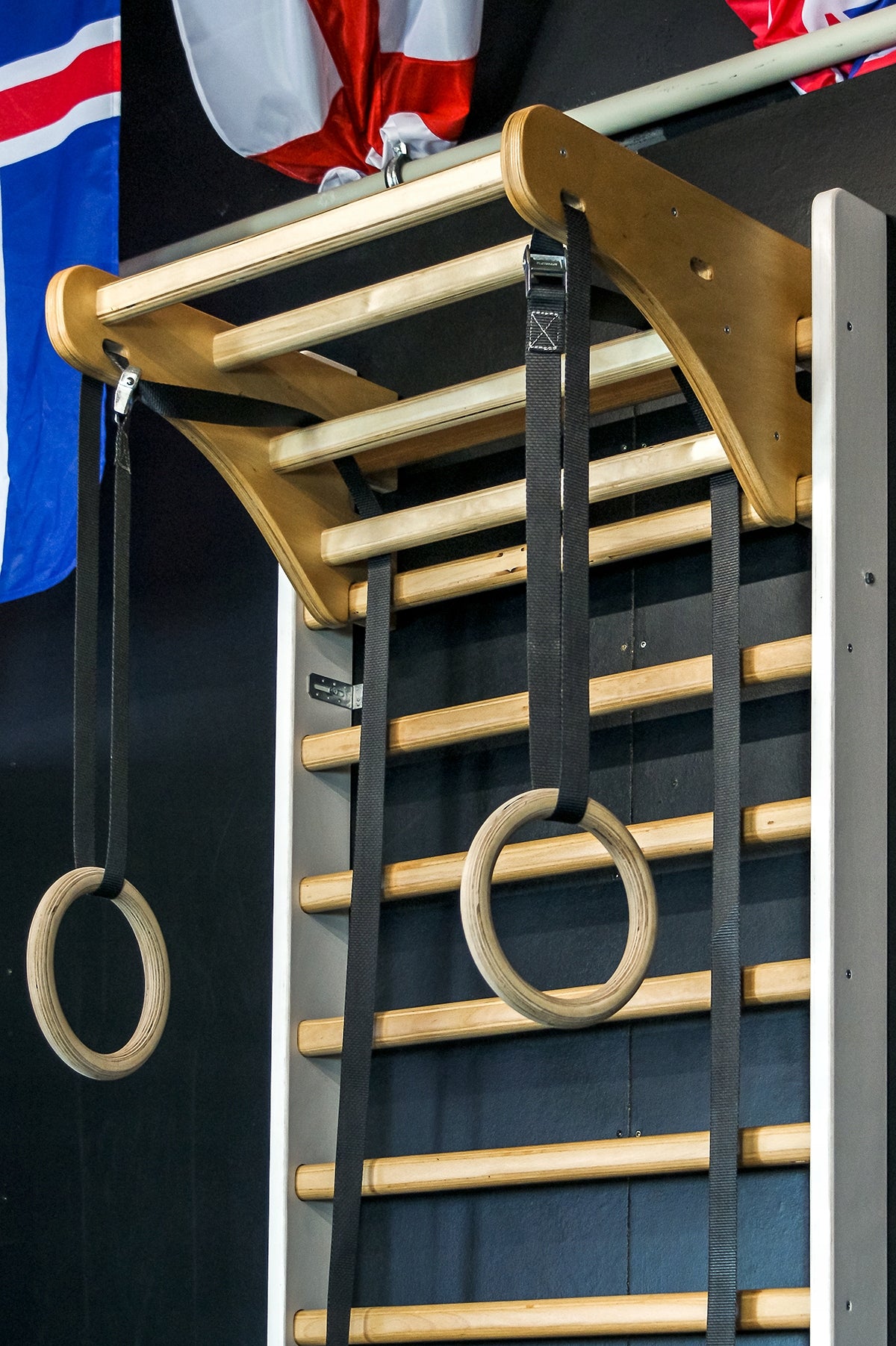 Gymnastic Ladder One Line 220x80 Set Pull Swing Manufacturer code DR220P