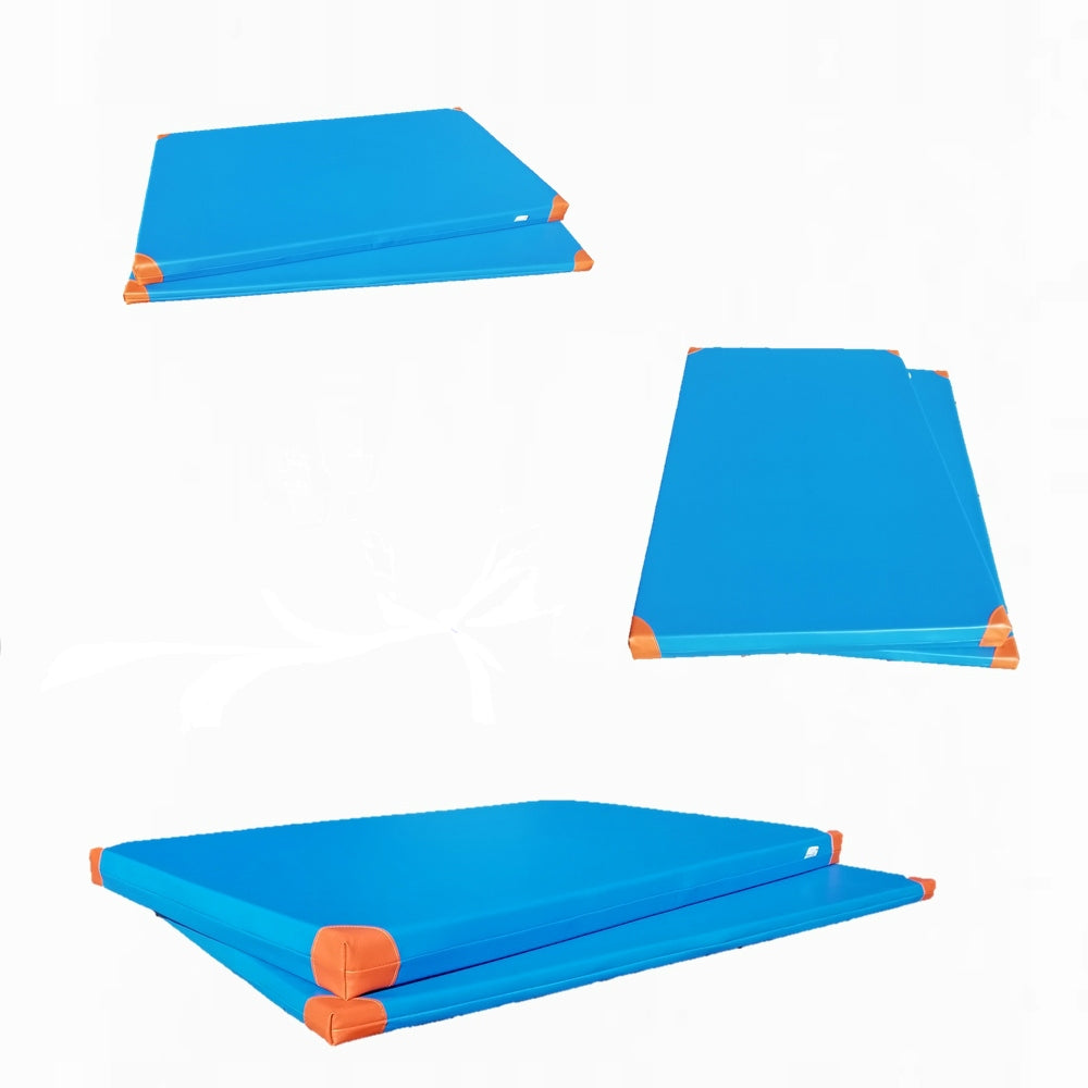 Gymnastic Mattress 200x100x10 cm PROMOTION