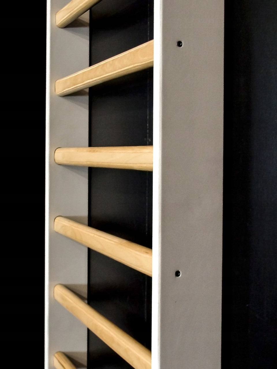 Gymnastic ladder reh. 250x80 ONE LINE WHITE
