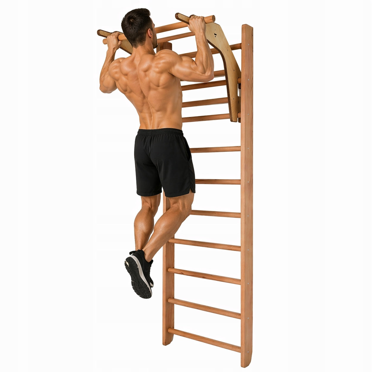 Gymnastic ladder with pull-up handle handrail DIP 240cm Brand Pelltech