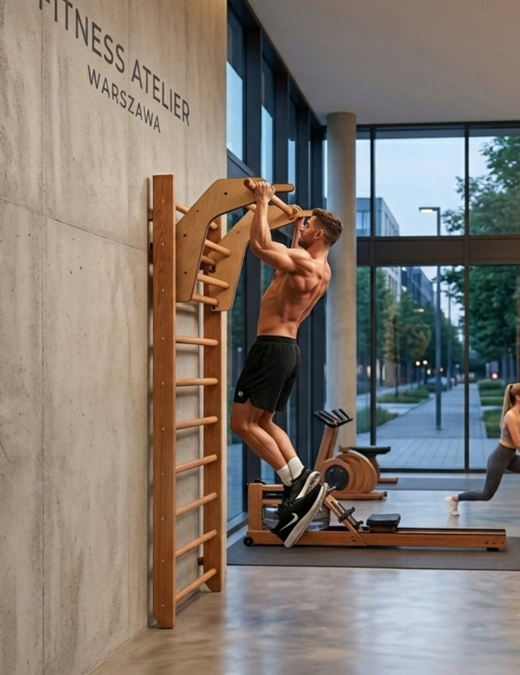Gymnastic ladder with pull-up handle handrail DIP 240cm Manufacturer code PELLTECH