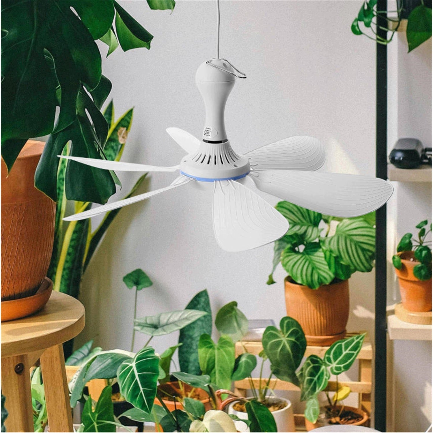 HANGING FAN 6 BLADES QUIET CEILING FAN FOR OFFICE DORM Brand no brand