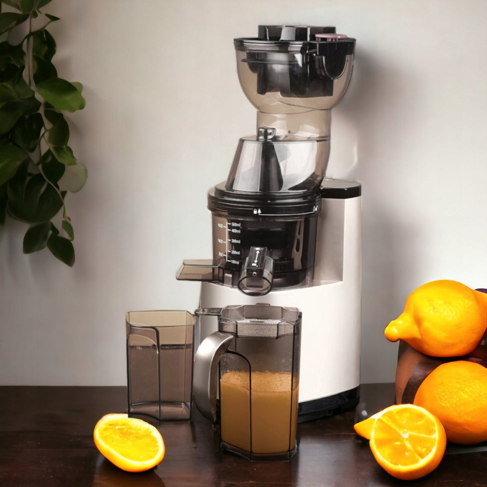 HEALTH LINE BOTTI SLOW JUICER Manufacturer code JE230-08M00