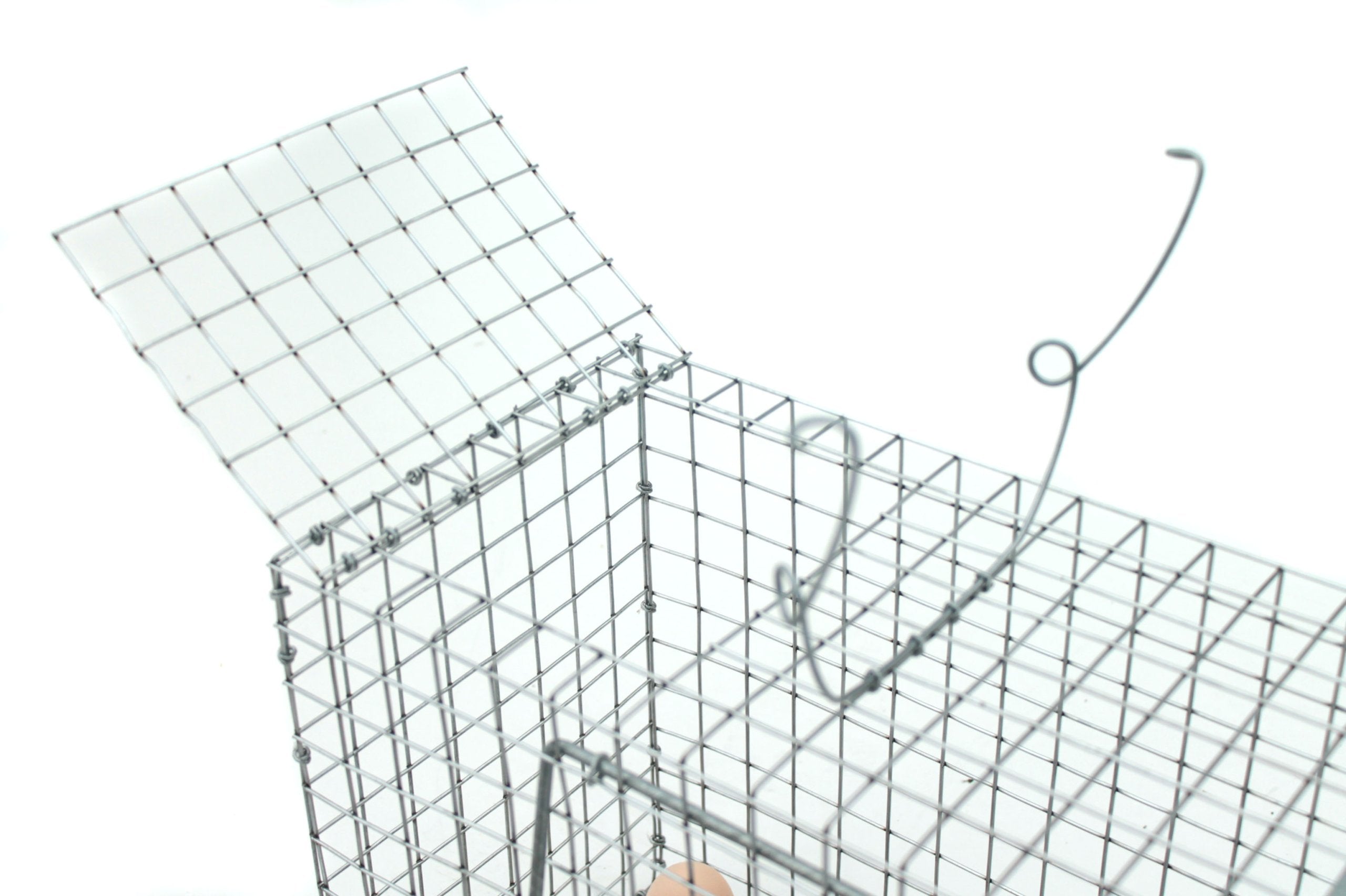 HEDGEHOG, TRAP, FOR RATS, MARTENS, MINK, COWARDS, CATS, PAW Poland Kind trap