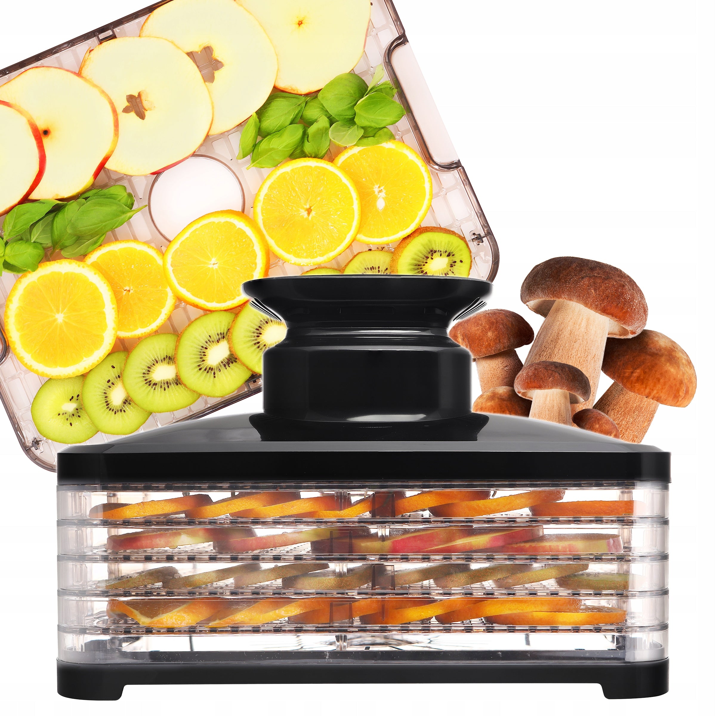 HERBAL FRUIT MUSHROOM FOOD DRYER ELDOM 5 SIT SG520 400W