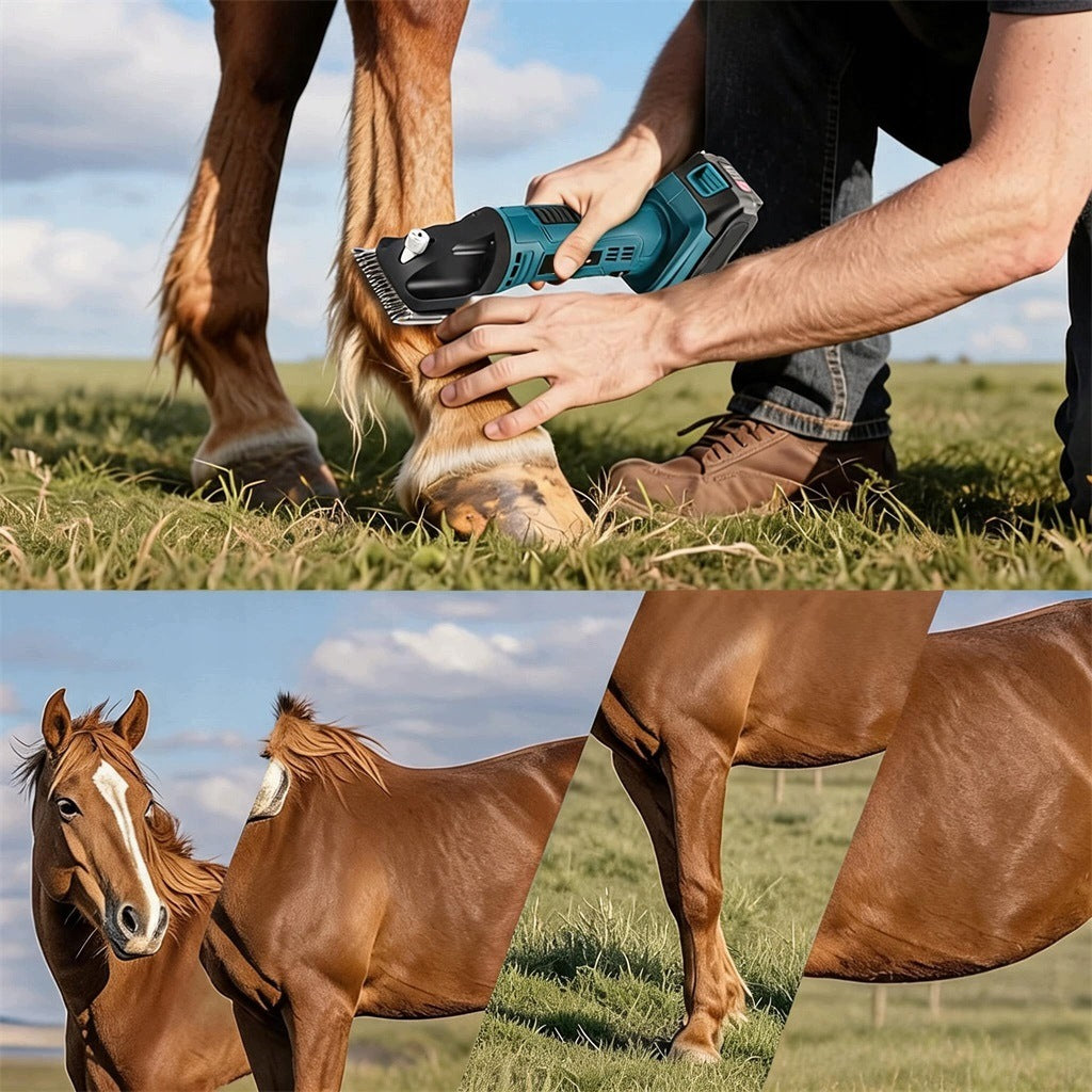 HORSE SHEEP CLIPPER 500W SHEARS SHAVER + 2AKU Medical device type accessories for a medical device or a product without an intended medical purpose