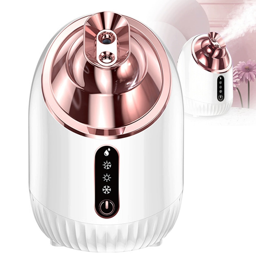 HOT COLD MIST ION FACE HUMIDIFIER 240ML STEAM SAUNA SPA 4IN1