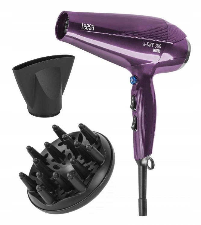 Hairdryer Teesa X-DRY 300