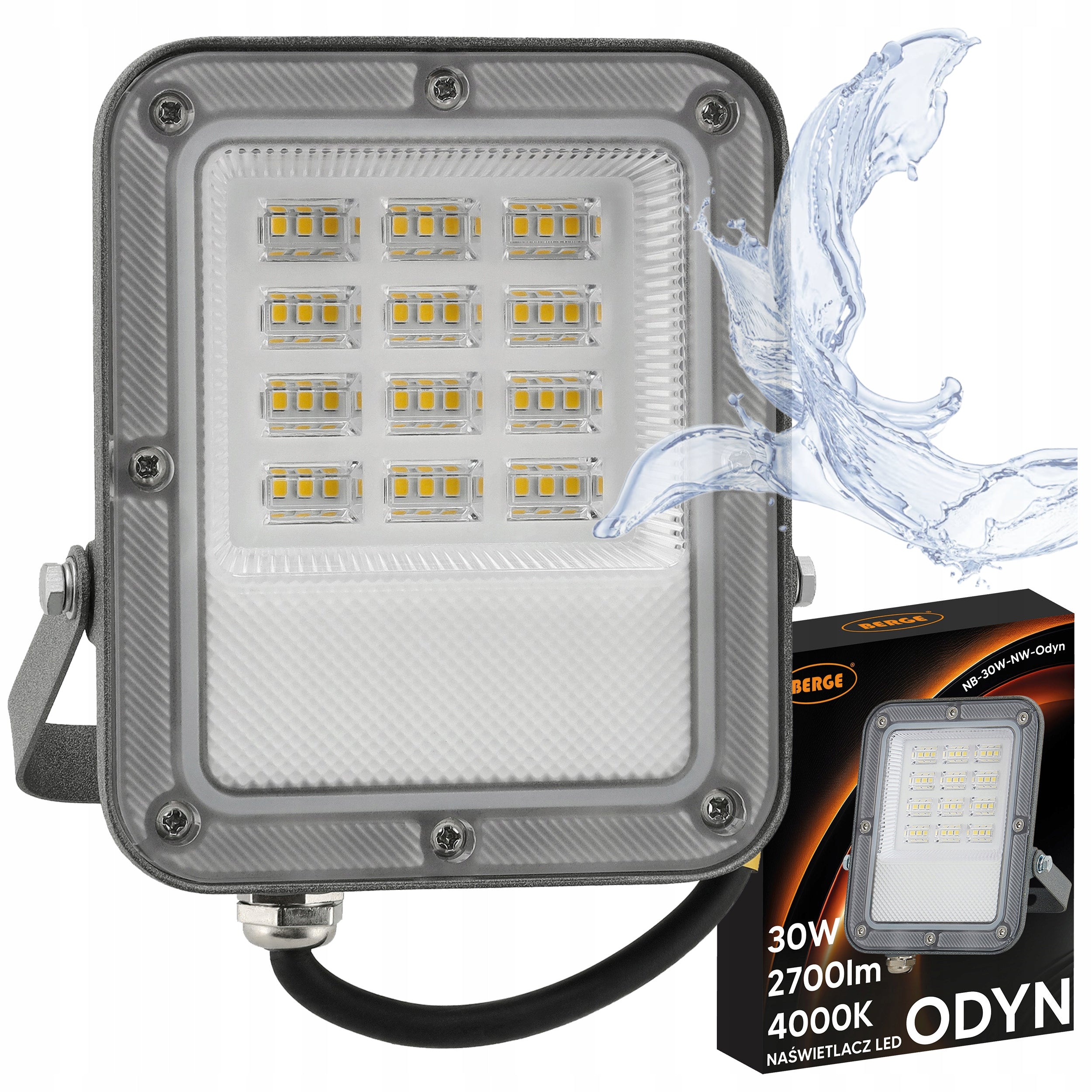 Halogen LED Floodlight Lamp 30W 2700lm Premium Outdoor Headlight 4000K