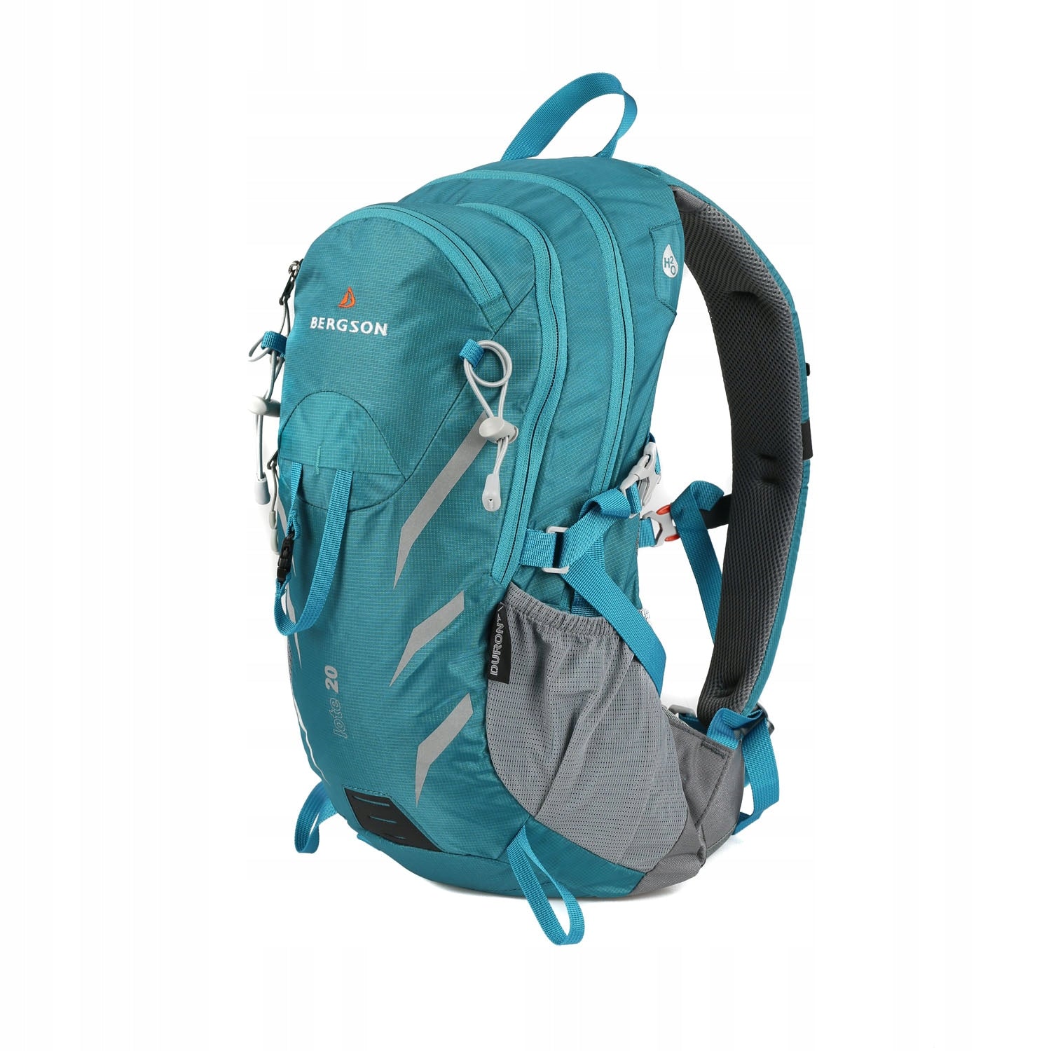 Hiking backpack blue Bergson LOTE 20L Manufacturer code 5904501349574