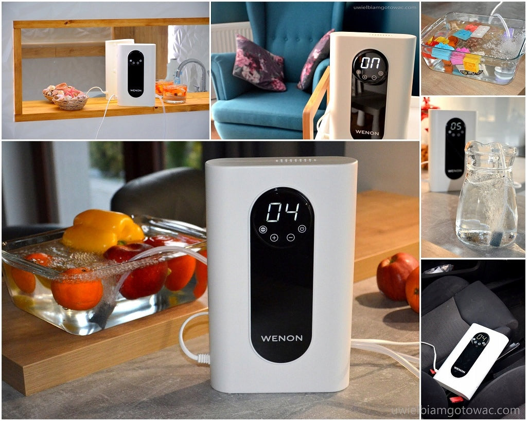Homemade Food Air Ozonator Wenon MF308 1000mg with Ionization Function Maximum efficiency 300 m³/h