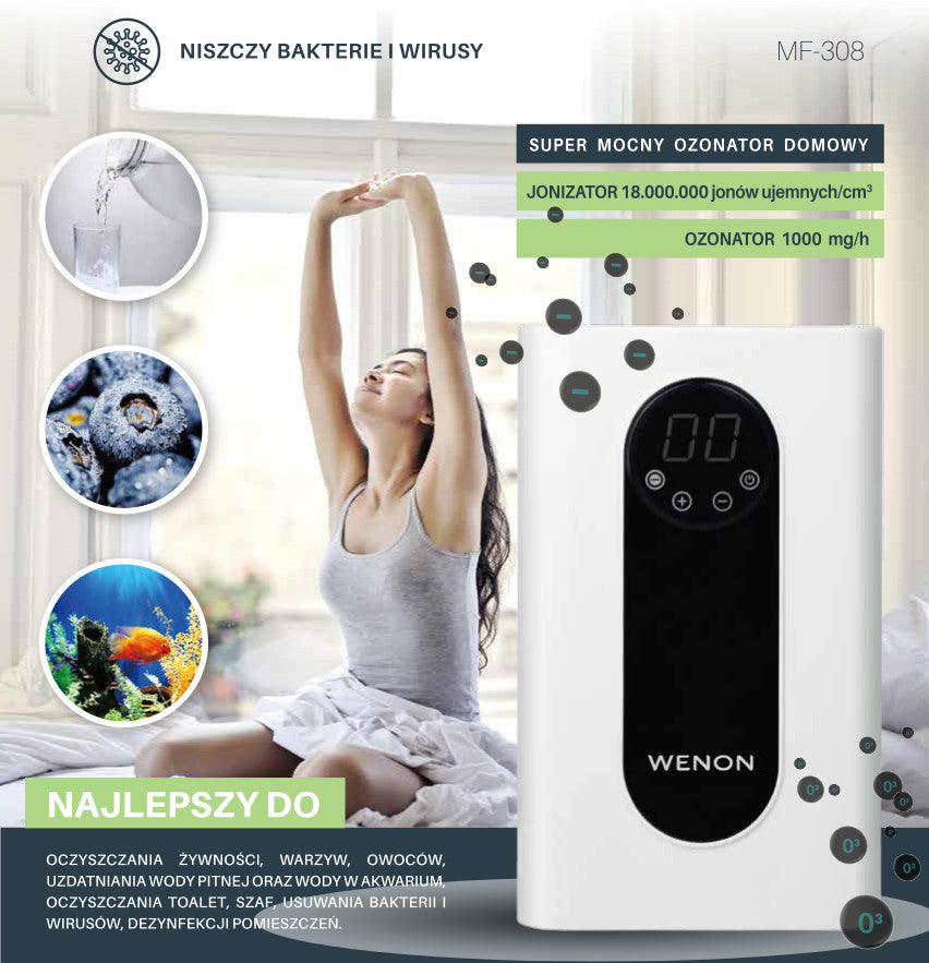 Homemade Food Air Ozonator Wenon MF308 1000mg with Ionization Function Model MF-308