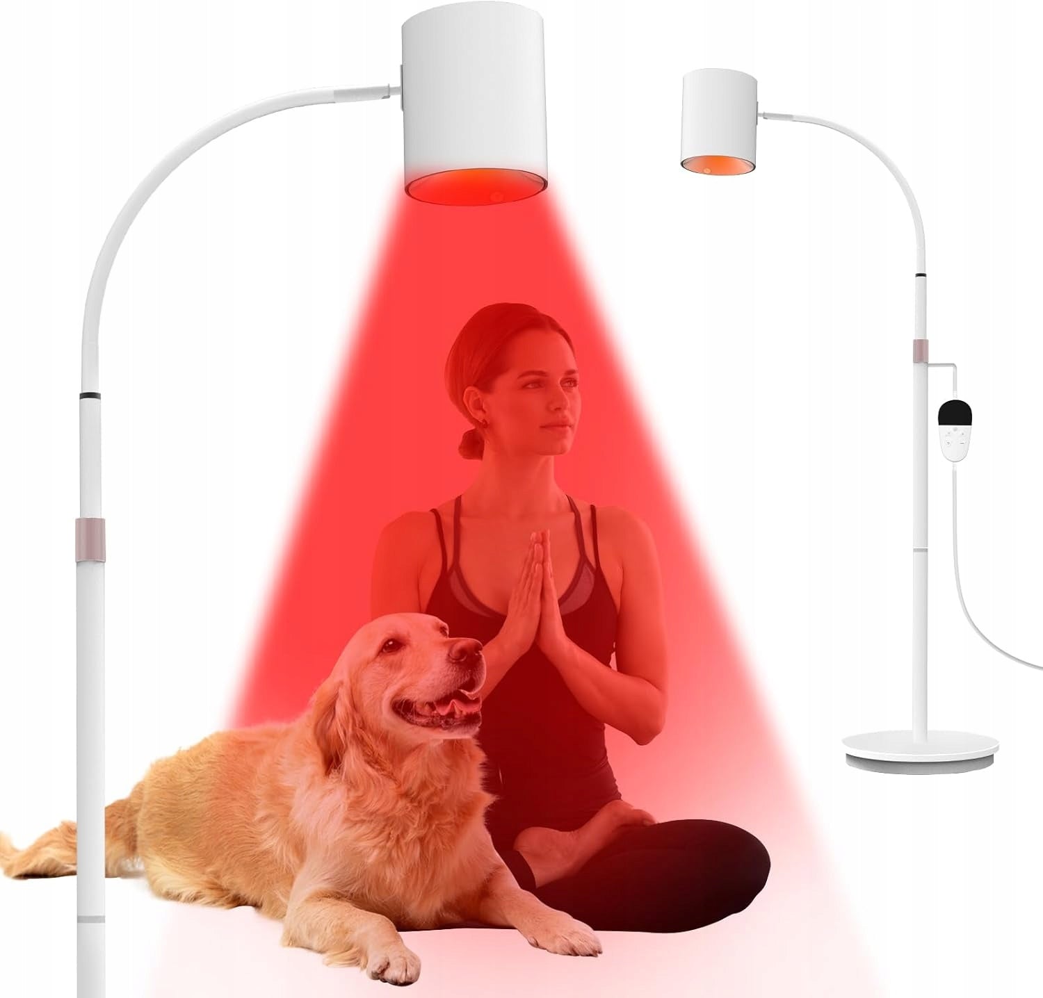 Hottoerak standing lamp with red light 20 W 660 850 940 nm