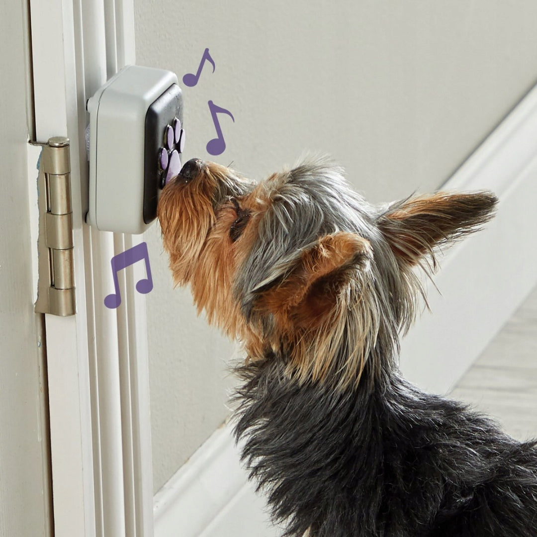 Hunger for Words TALKING PET Doorbell Brand no brand