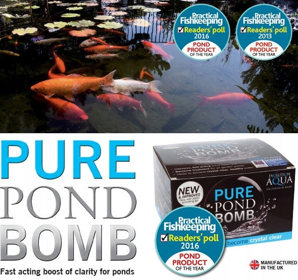 IMMEDIATELY CLEAN WATER - PREPARATION - EVOLUTION AQUA PURE POND BOMB
