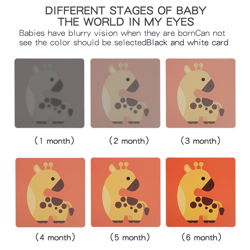 INFANT CONTRAST CARDS BLACK AND WHITE IMAGES 20 PIECES Kind interactive stuffed toys
