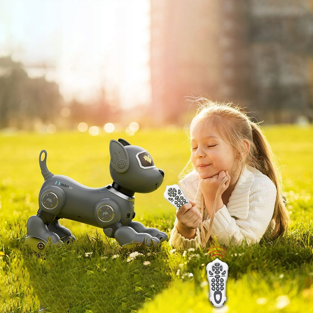 INTERACTIVE ROBOT DOG WITH TOUCH SENSOR AND TRACKING GIFT SET Packaging status original
