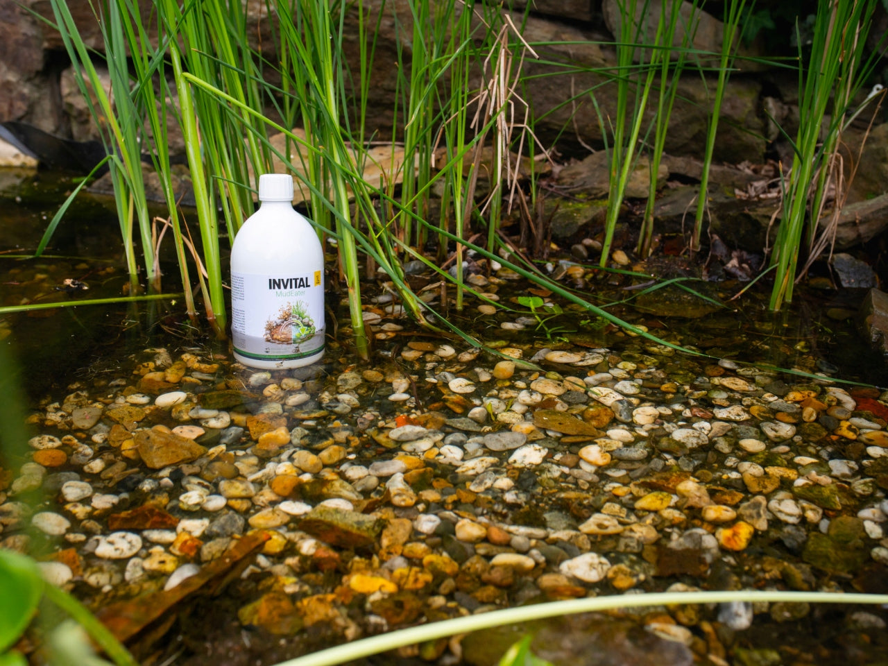 INVITAL MudEater 1l sludge remover Brand Invital