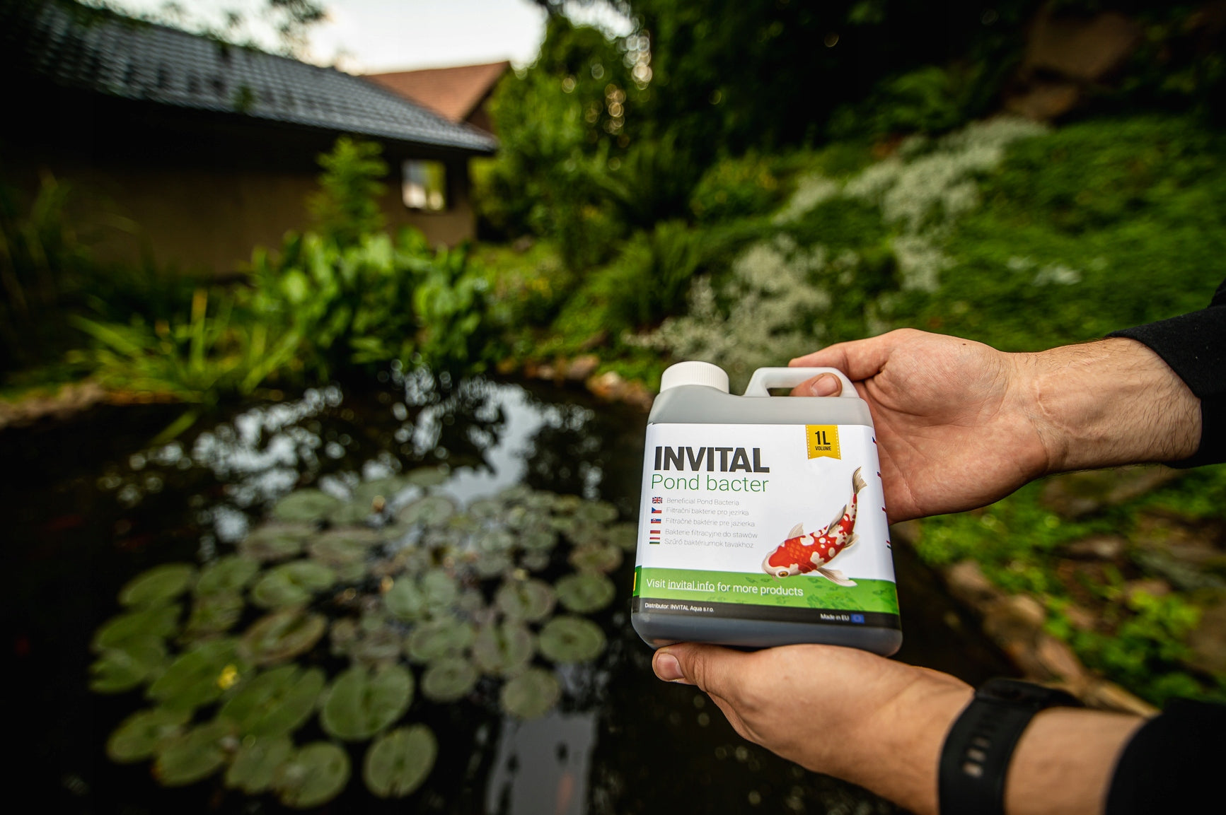 INVITAL Pond Bacter 1000 ml bacteria for pond antialgae, pure water EKO Brand Invital