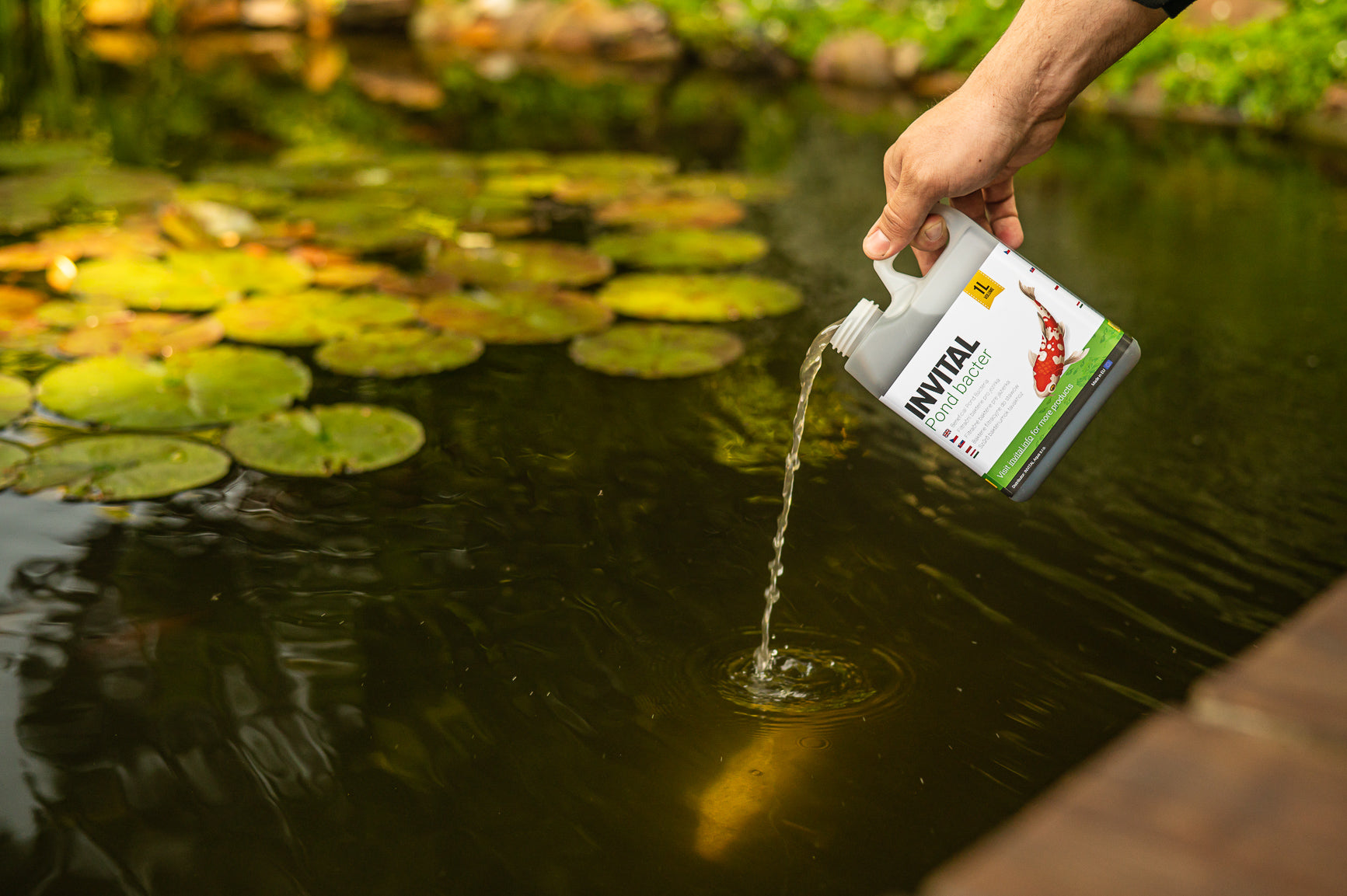 INVITAL Pond Bacter 1000 ml bacteria for pond antialgae, pure water EKO Manufacturer code Z01663