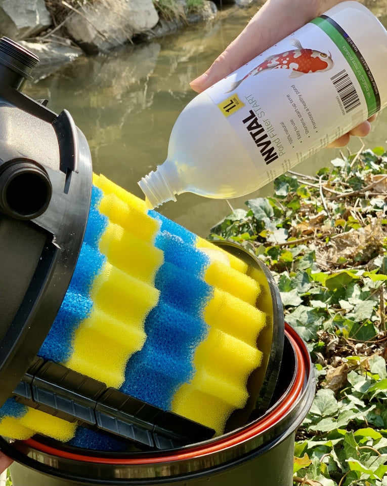 INVITAL Pond Filter Start 1000ml starter bacteria for filter/water pond Brand Invital