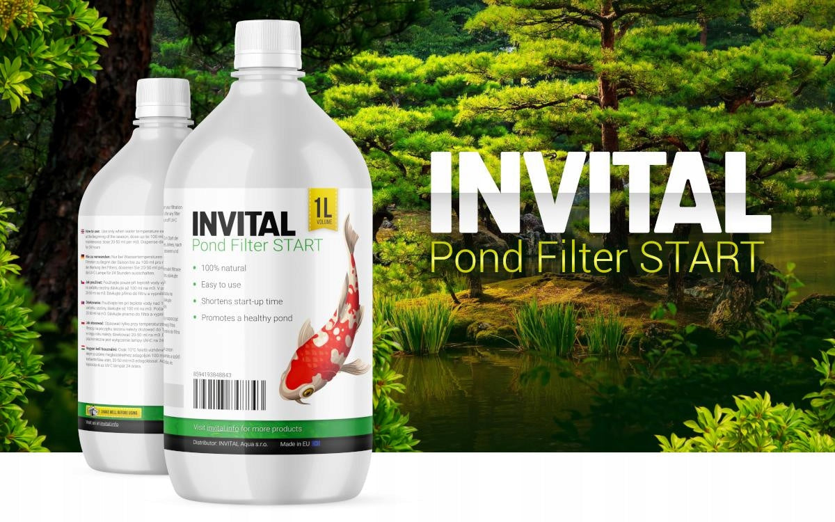 INVITAL Pond Filter Start 1000ml starter bacteria for filter/water pond Form liquid