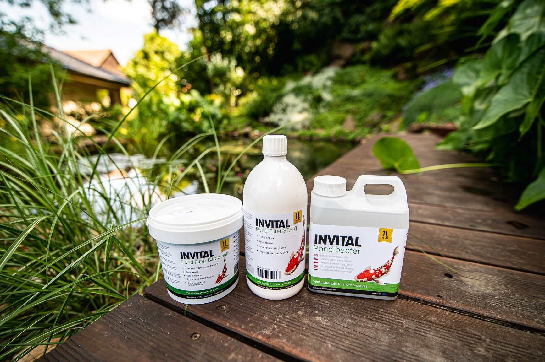 INVITAL Pond Filter Start 1000ml starter bacteria for filter/water pond Purpose water purification