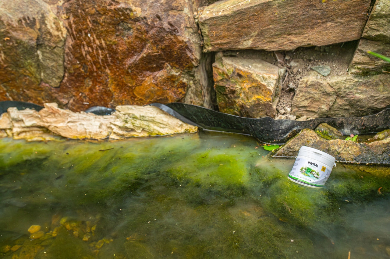 INVITAL PondShield 250 g per pond without algae, removes algae pure water EKO EAN (GTIN) 8596674010220