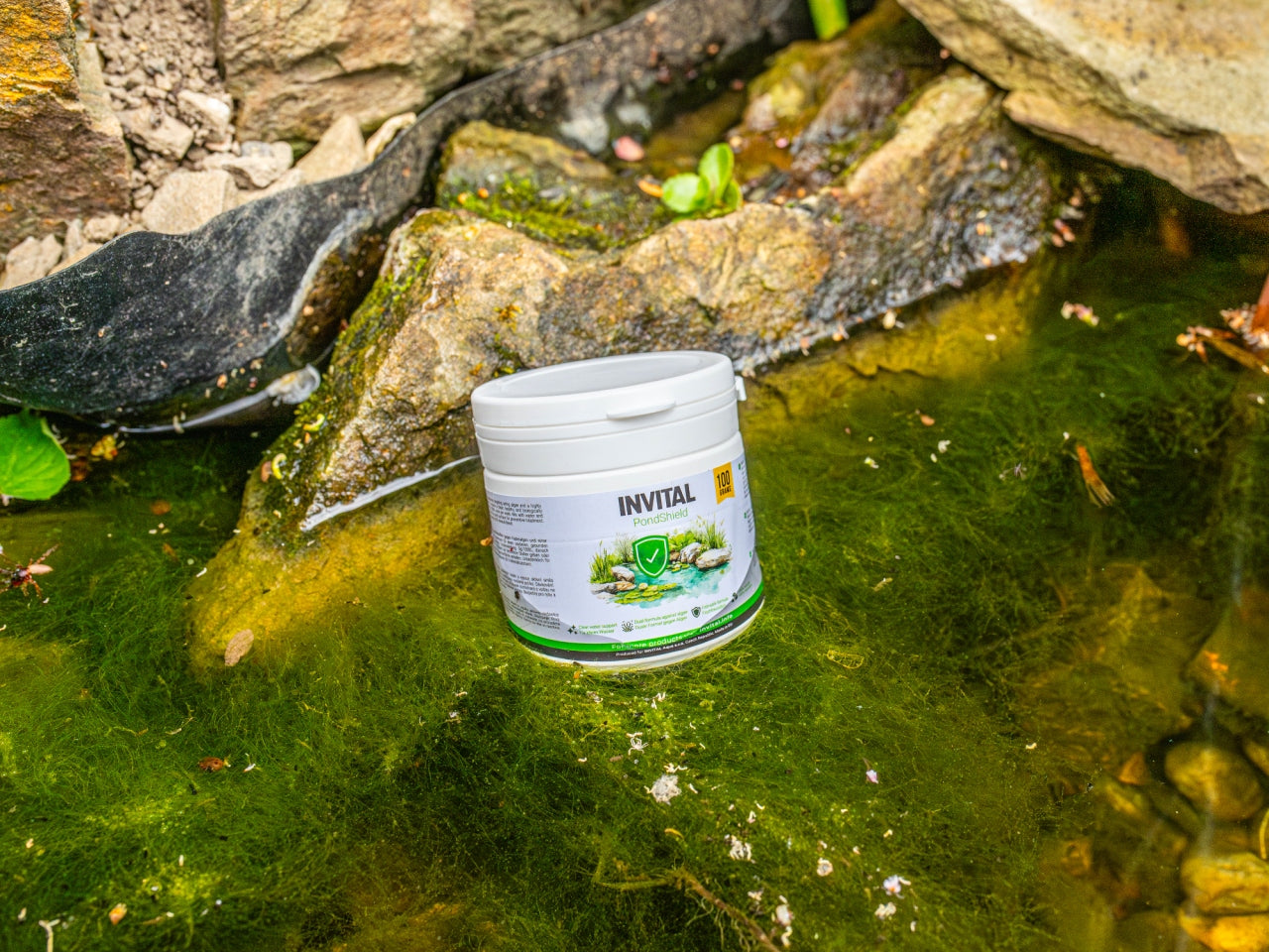 INVITAL PondShield 250 g per pond without algae, removes algae pure water EKO Form granules