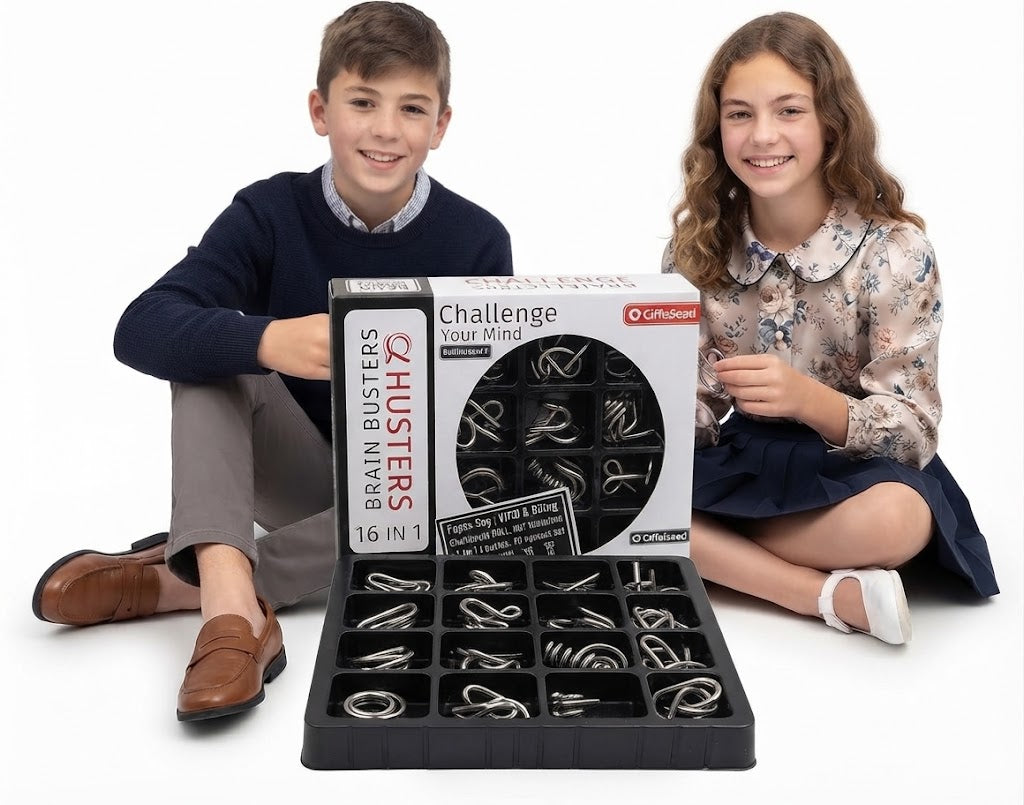 IQ Busters 16in1 Metal Puzzle Puzzles Children and Adults Manufacturer code 789759