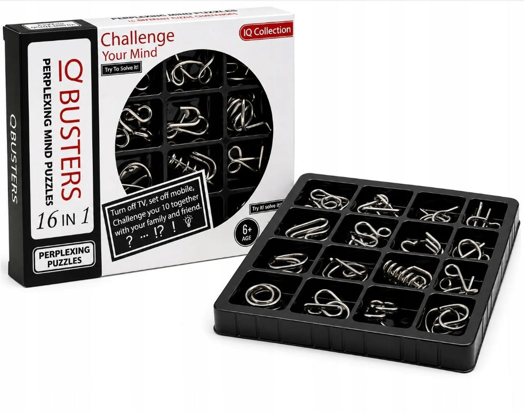 IQ Busters 16in1 Metal Puzzle Puzzles Children and Adults