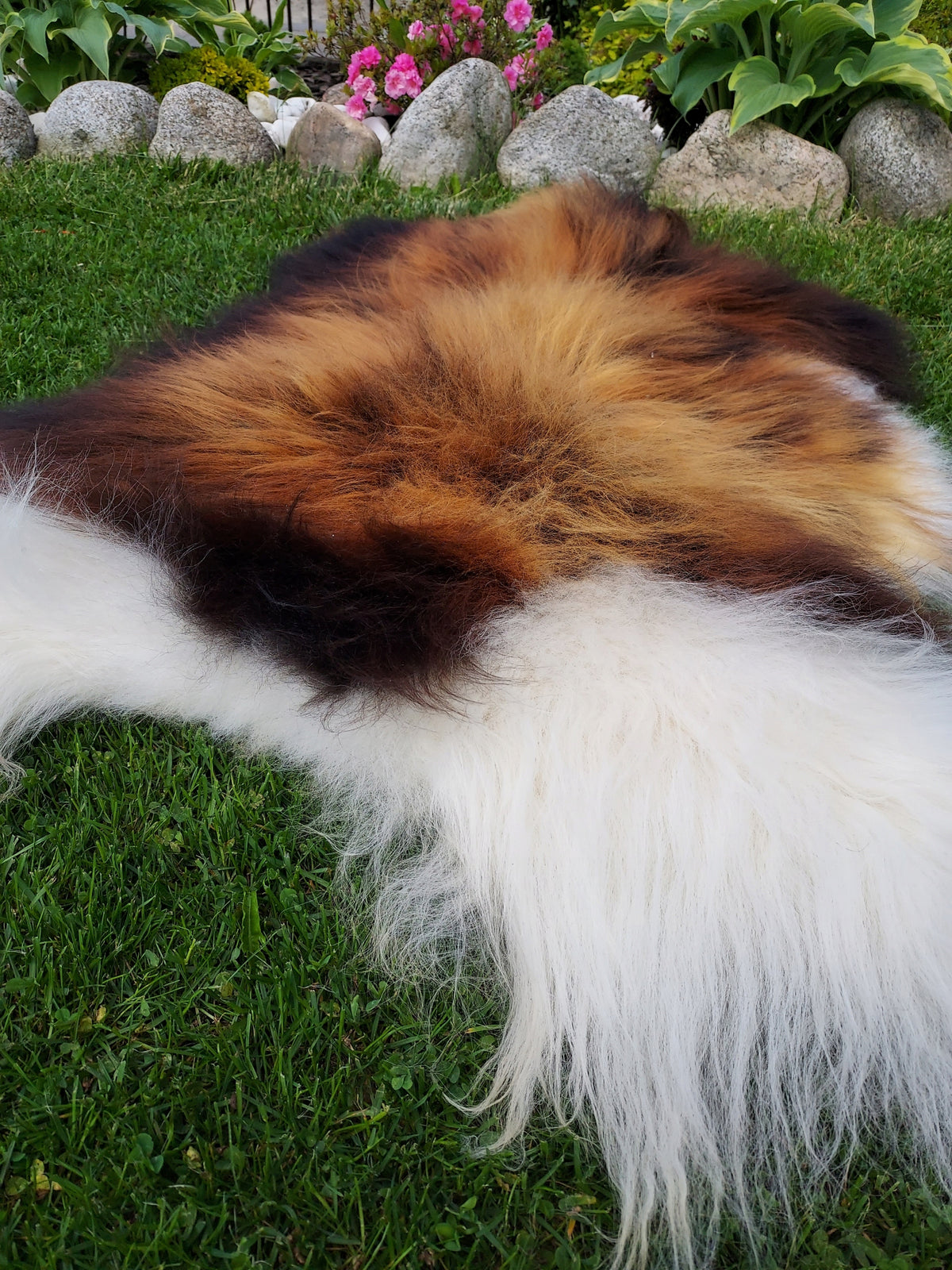 Icelandic Sheepskin Natural Color UNIQUE Manufacturer code 1