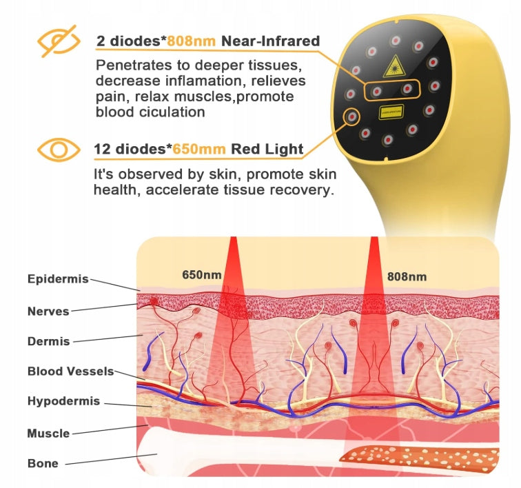 Infrared lamp for domestic dogs, butt infrared light therapy Medical device no