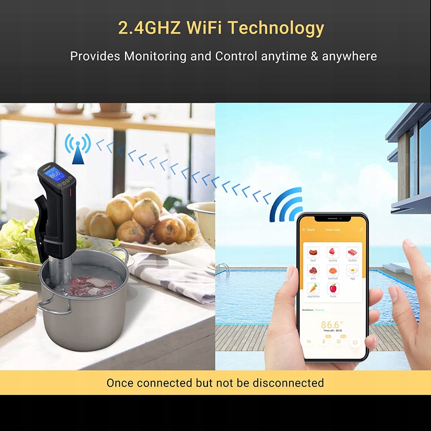 Inkbird WiFi Sous Vide Cooker ISV-100W 1000W Professional Precision Cooker EAN (GTIN) 9331813976475