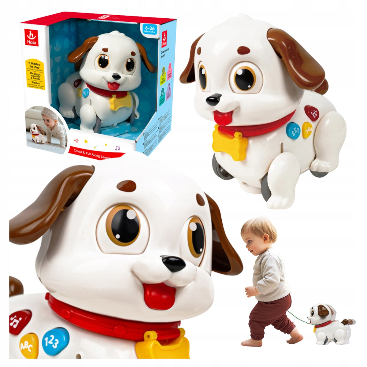 Interactive Dog for Crawling Hola Puppy 20 Melodies 6m+