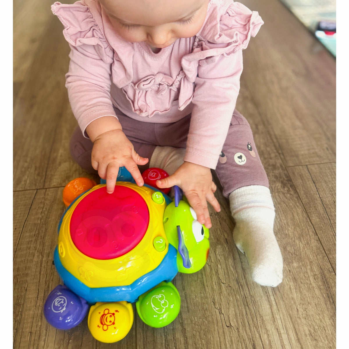 Interactive Toy for Ladybug Crawling Packaging status original