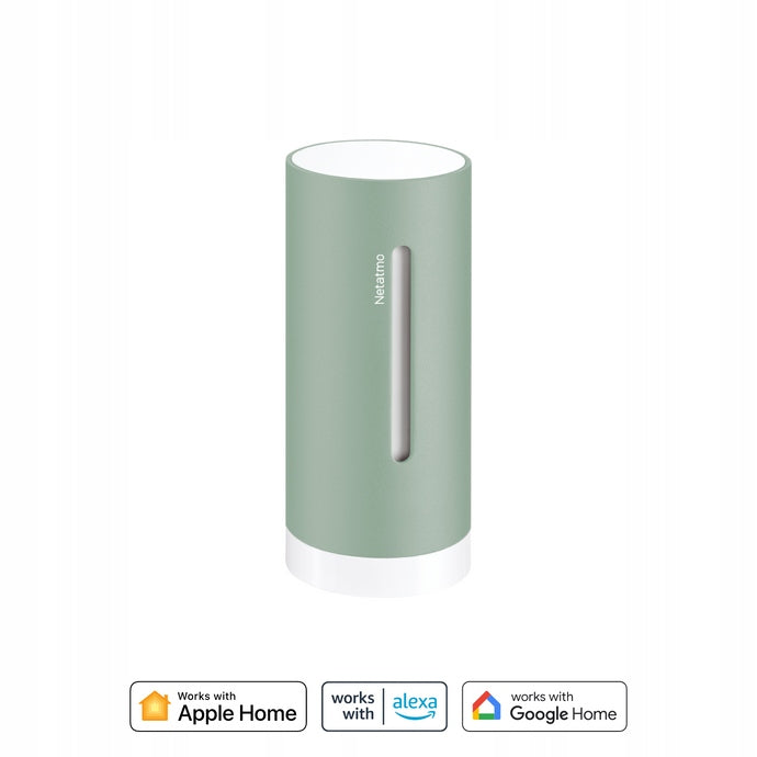Internal module Original Netatmo NIM-M Mint