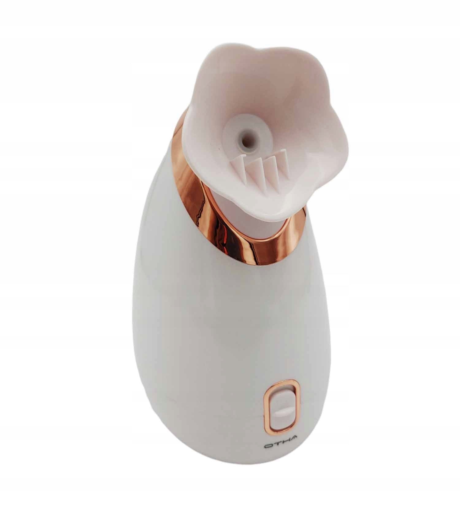 Ionic Facial Sauna Steam Spa Nano Packaging status original