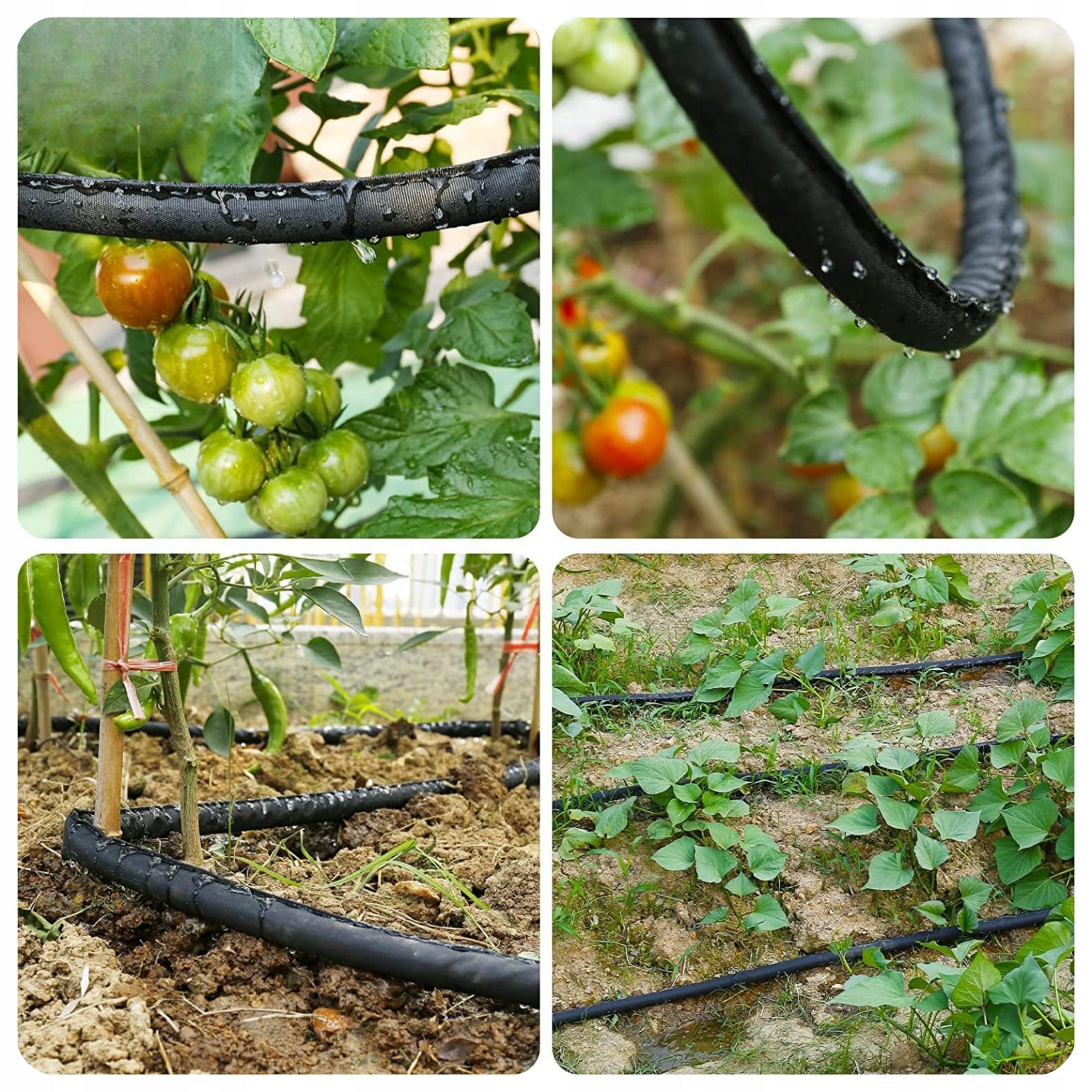 Irrigation hose AQUA-DROP 1/2" - 100m BRADAS Brand Bradas