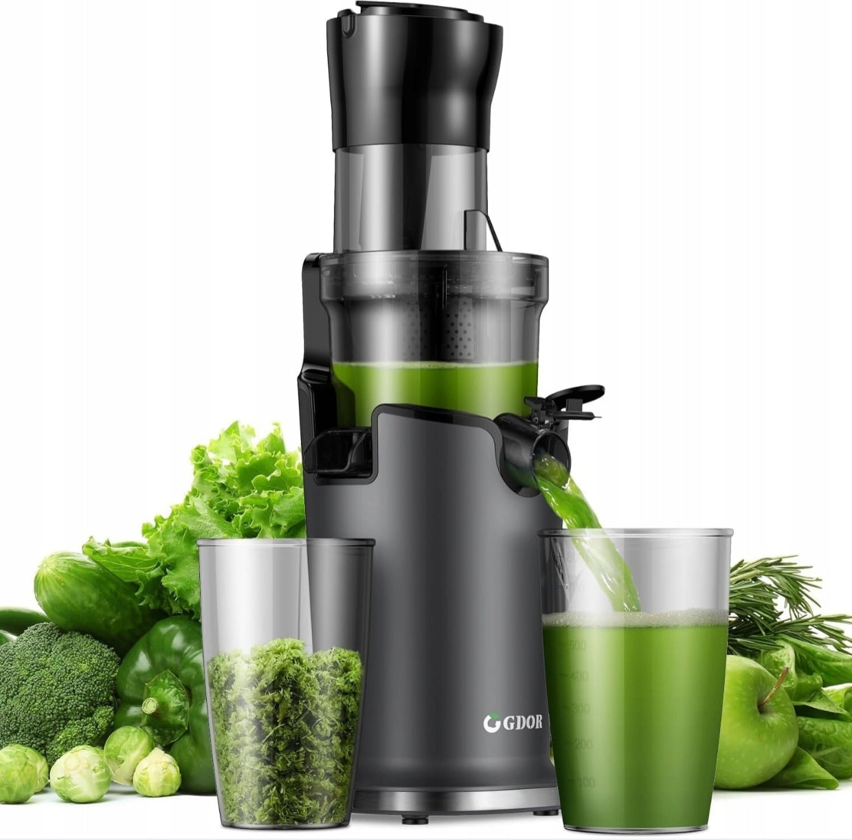 JUICER FRUIT AND VEGETABLE JUICER 200W SJ-017