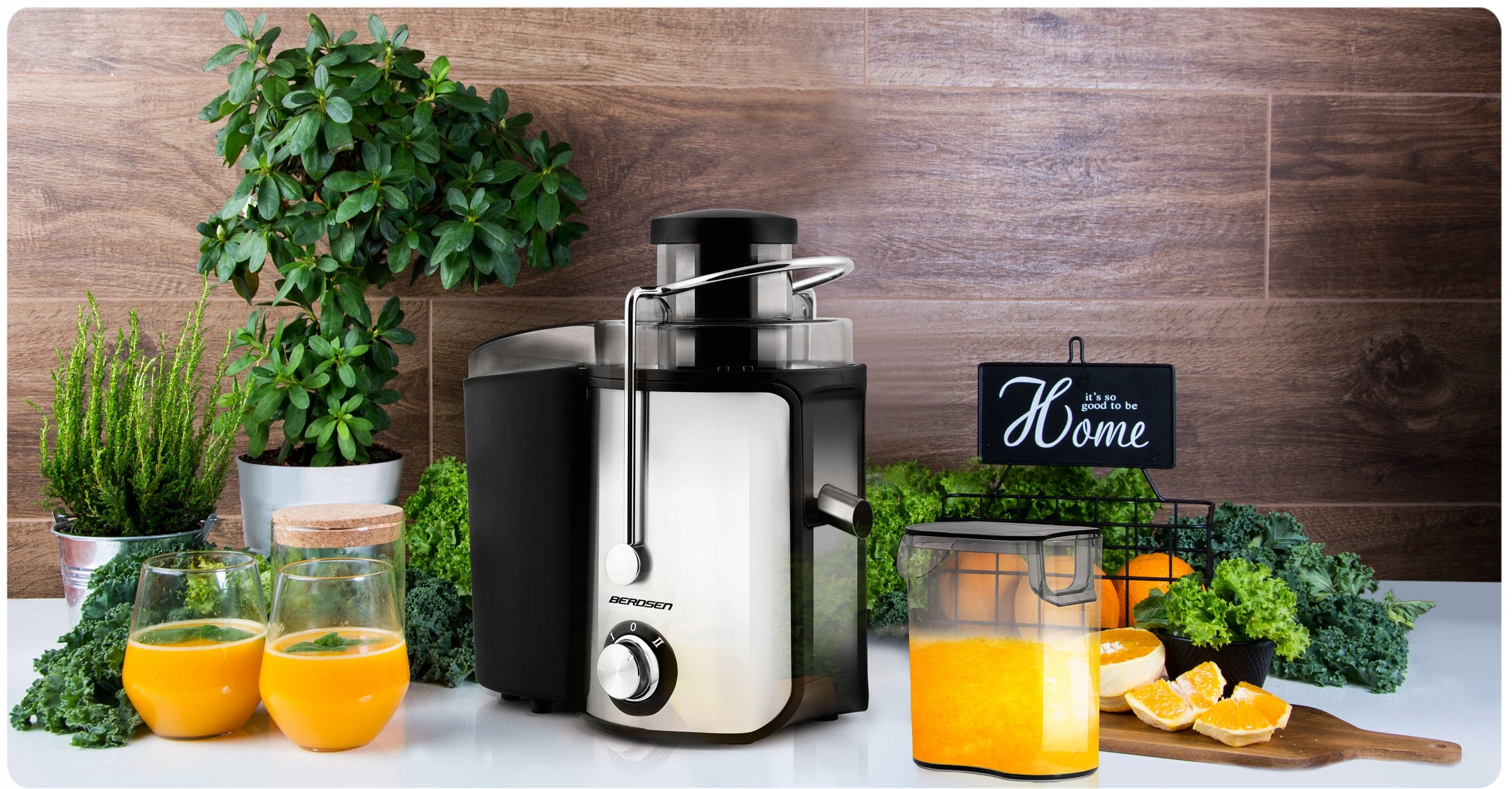JUICER HIGH SPEED JUICER BERDSEN MAX 1000W EAN (GTIN) 5903890615895