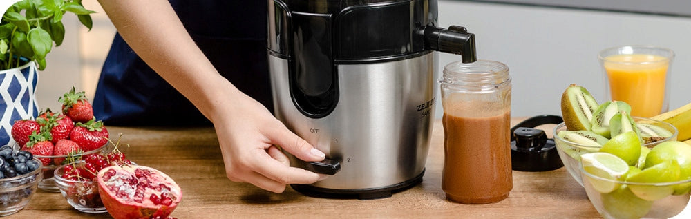 Juicer ZELMER ZJE4800 Model ZJE4800