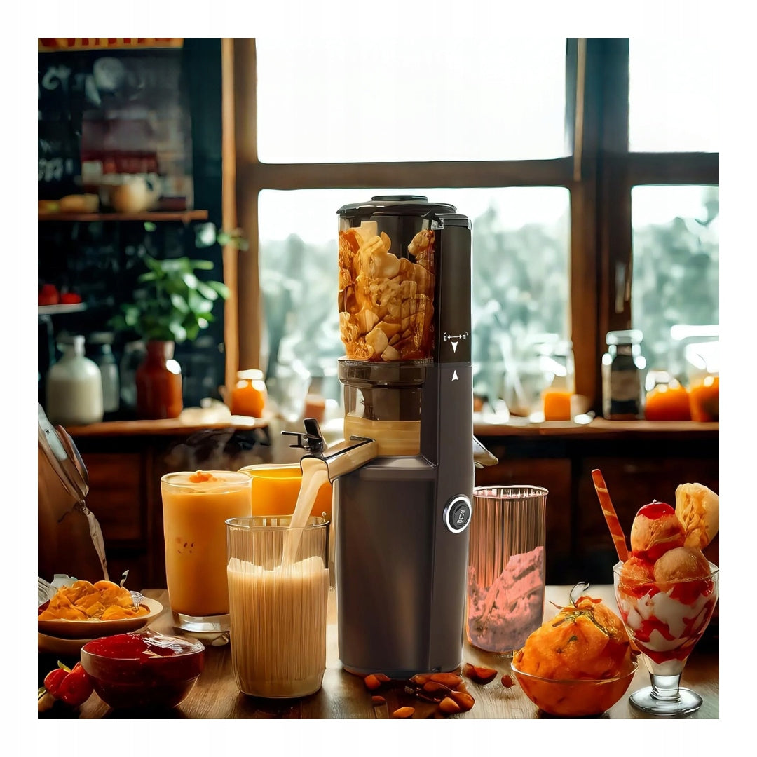 Juicer rotary juicer Fyenkfar FYJSSJ1A01SG graphite 250 W J228 Power rating 250 W