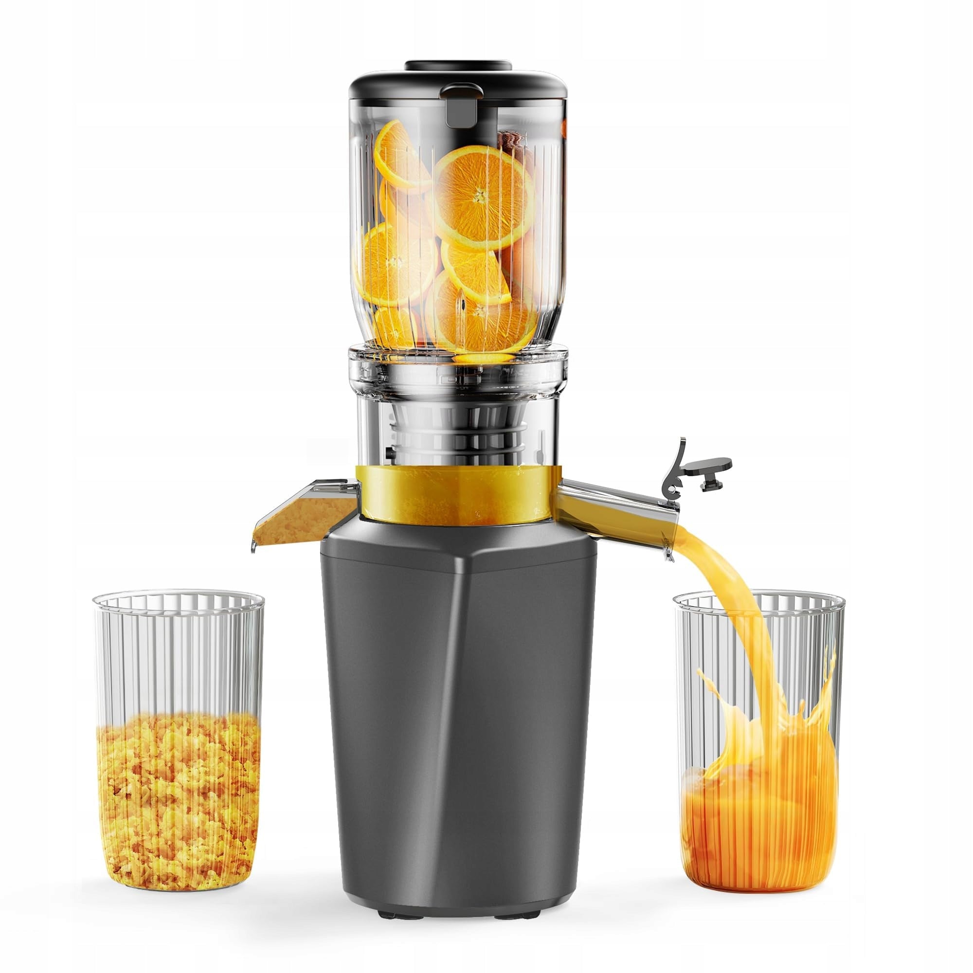Juicer rotary juicer Fyenkfar FYJSSJ1A01SG graphite 250 W J228